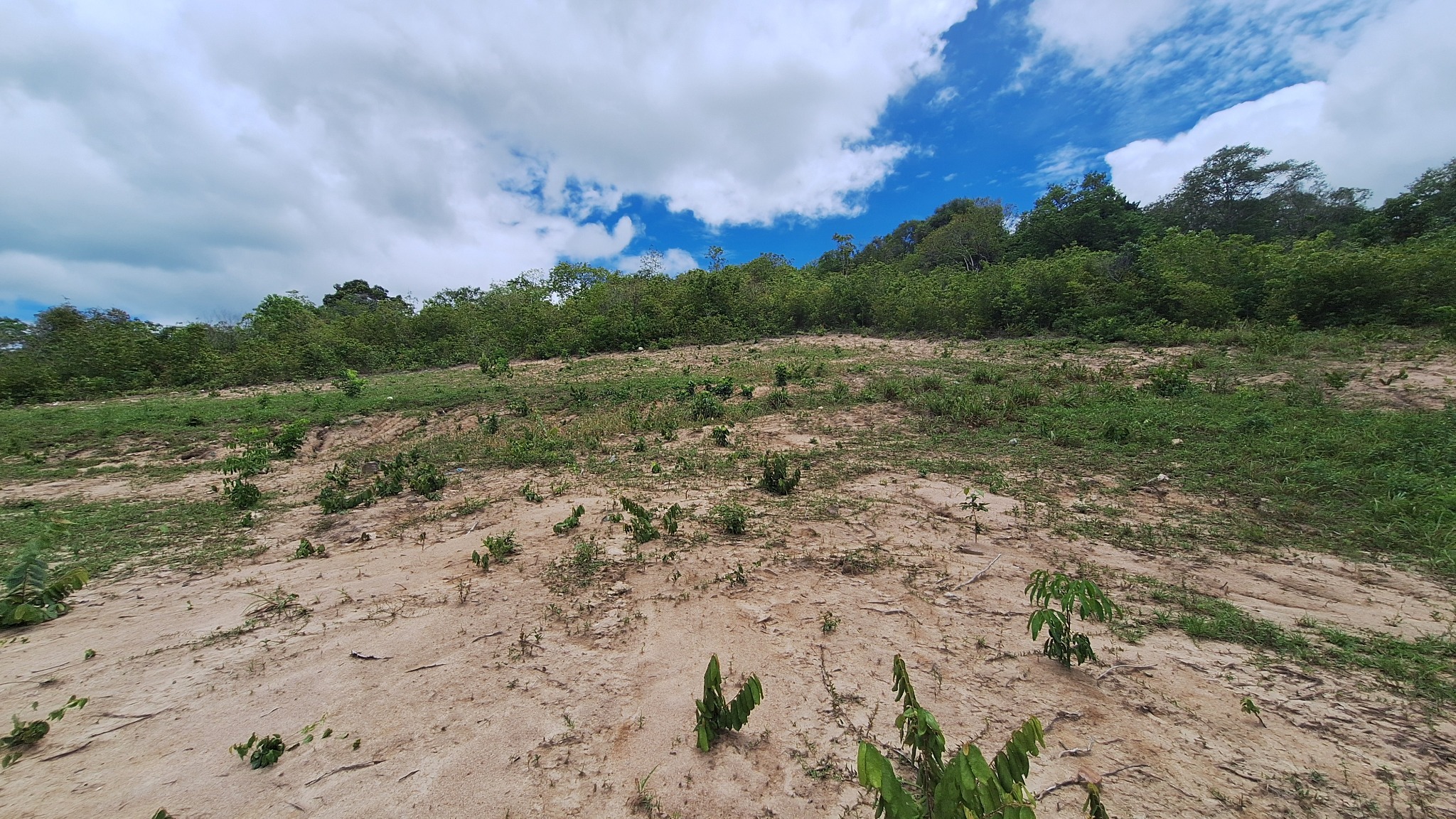 Bophut land showing practical terrain and sea outlook